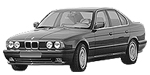 BMW E34 P1421 Fault Code